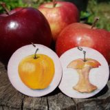 yellow apple earrings