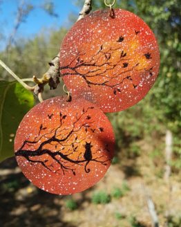 Cercei de pisoi singuratic